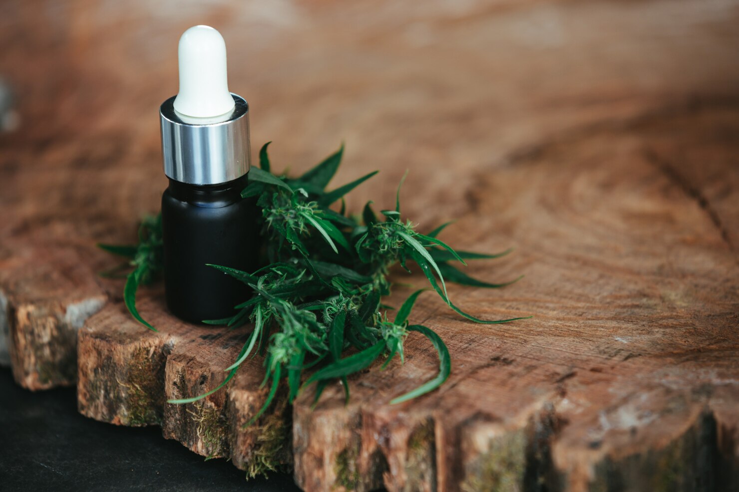 Best CBD Balms for Pain Relief and Muscle Recovery (2025 Guide)